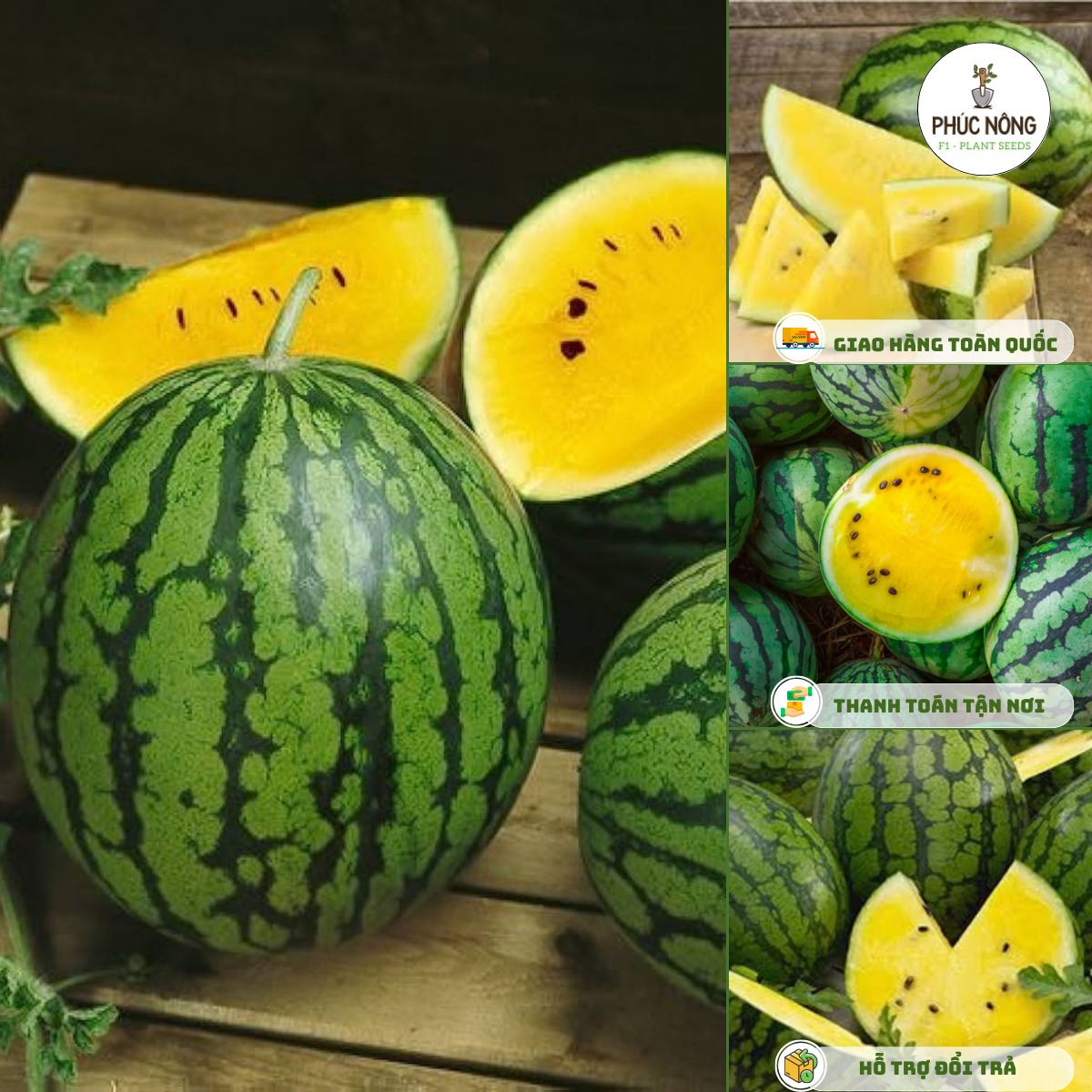 Hạt giống dưa hấu ruột vàng