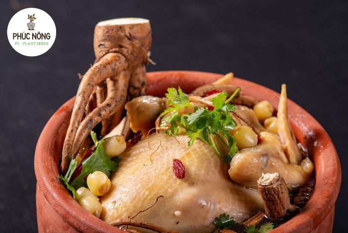 Dùng củ sâm bố chính để chế biến các món ăn