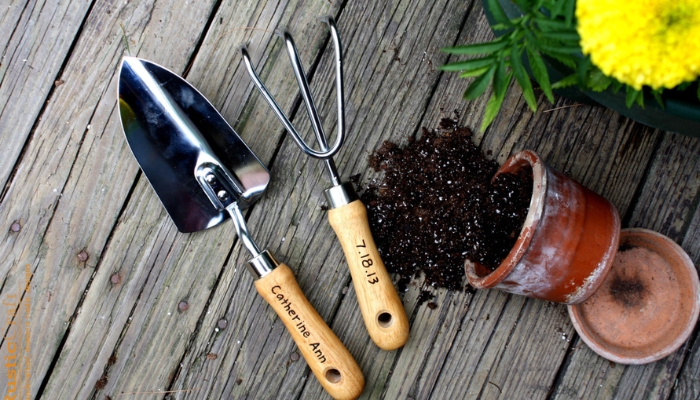 Vật dụng cần chuẩn bị khi trồng cây ăn trái