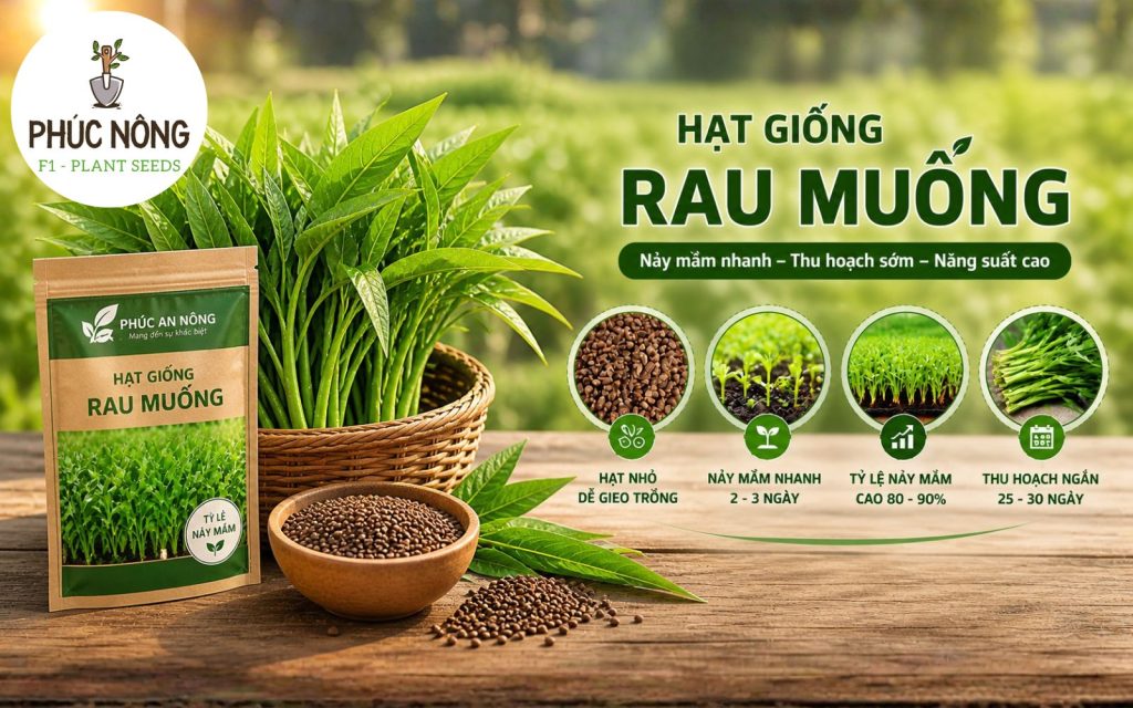 Đặc điểm của hạt giống rau muống