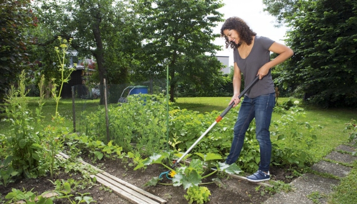 Cách duy trì vườn cây ăn quả luôn tươi tốt