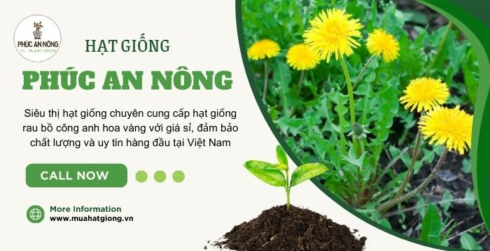 Mua hạt giống bồ công anh giá sỉ tại Phúc An Nông
