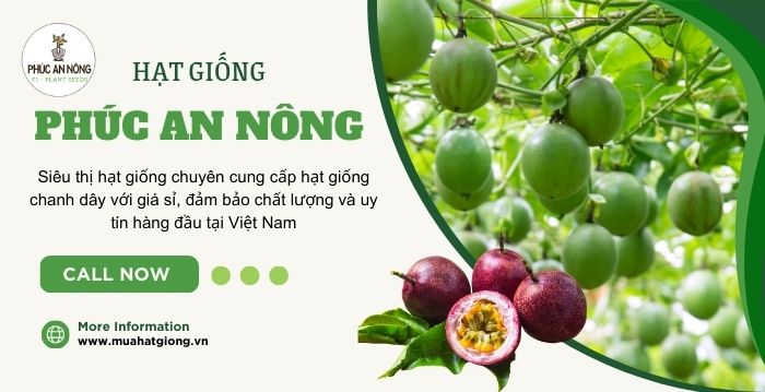 Mua hạt giống chanh dây giá sỉ tại Phúc An Nông