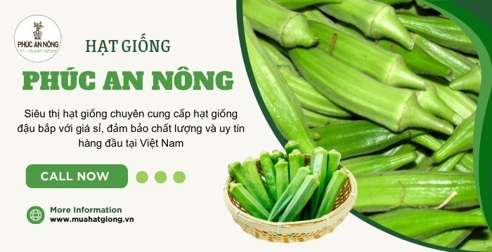Mua sỉ hạt giống đậu bắp tại Phúc An Nông