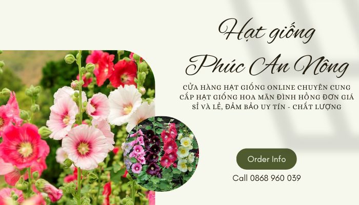 Mua hạt giống Hoa Mãn Đình Hồng Đơn giá sỉ, đảm bảo chất lượng