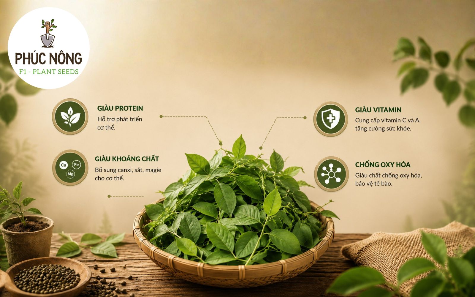 Rau ngót cung cấp nhiều chất xơ, vitamin và khoáng chất tự nhiên