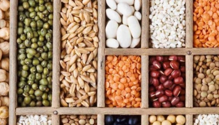 Lưu ý khi chọn hạt giống cây ăn trái