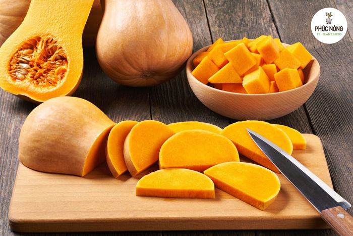 Hạt giống bí hạt đậu