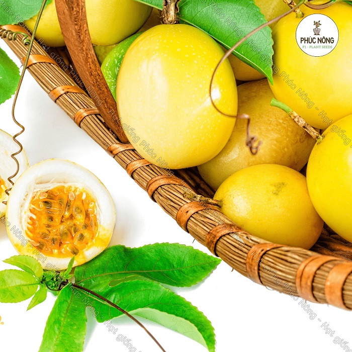 Tìm hiểu hạt giống chanh dây