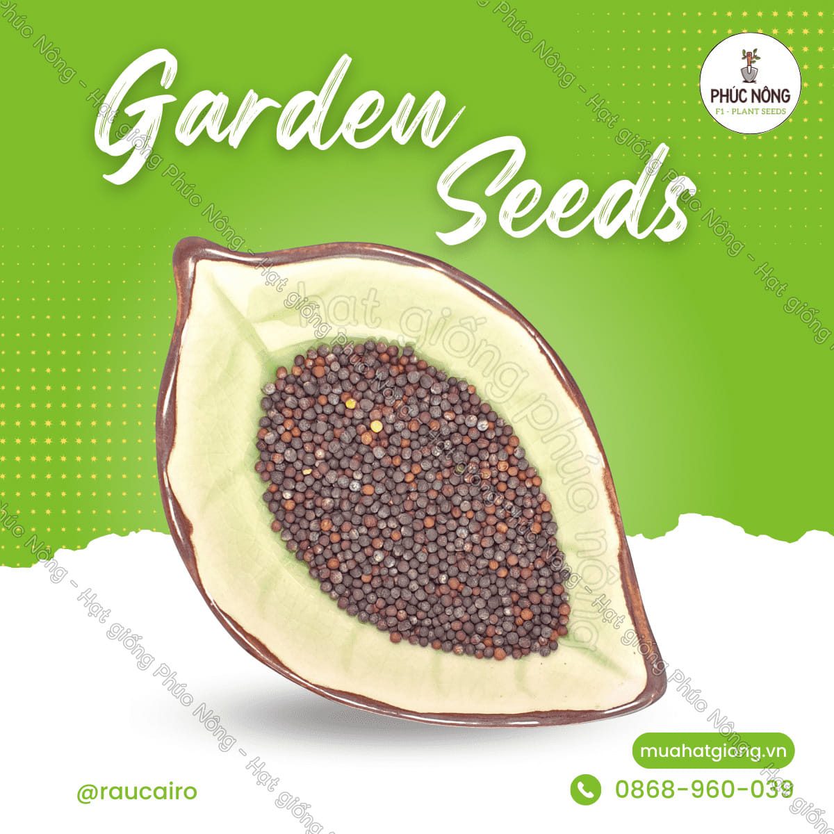 Hạt giống Rau Cải Rổ - Gói 5 Gram - Phúc An Nông
