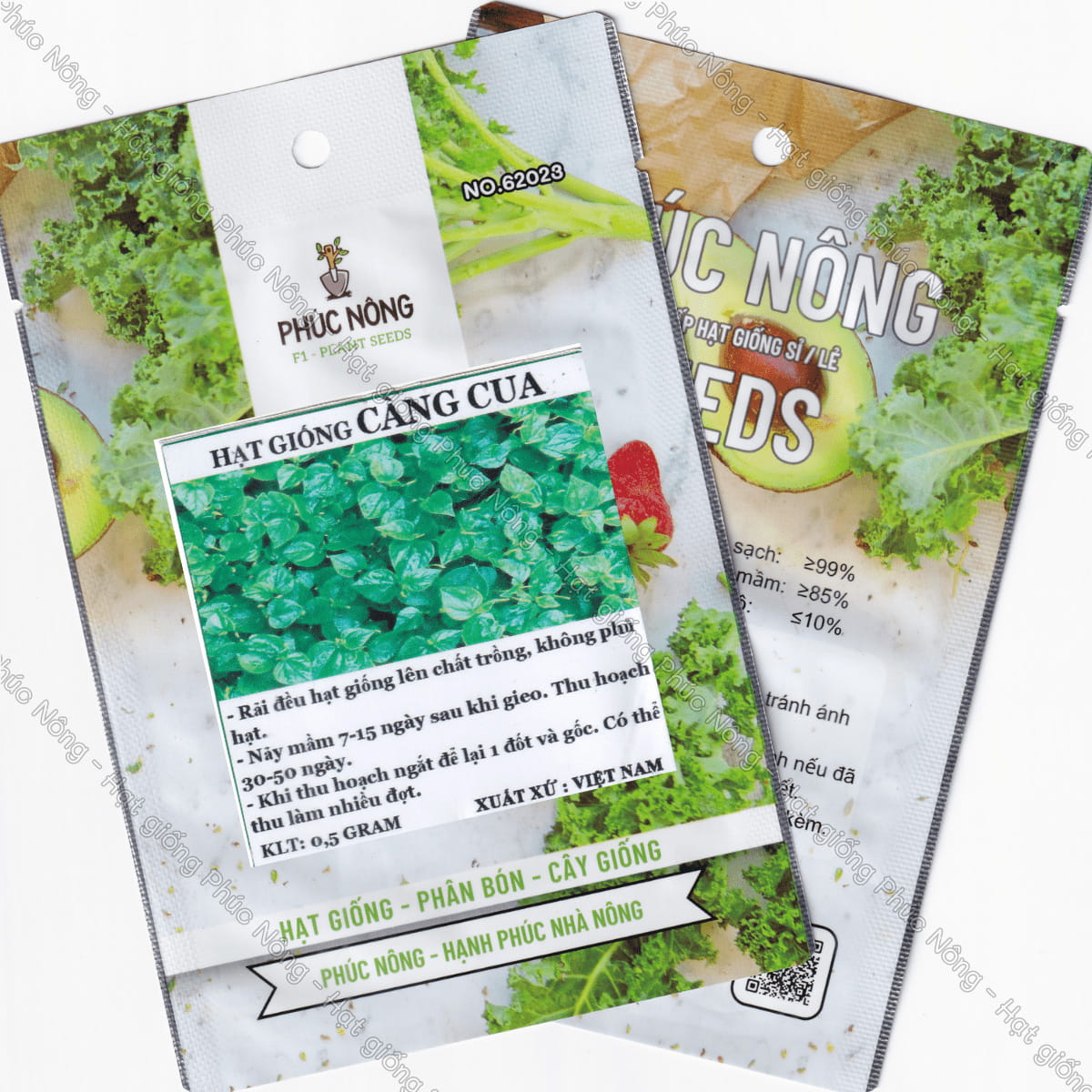 How To Grow Crab Claw Herb (Peperomia Pellucida) And Its Health