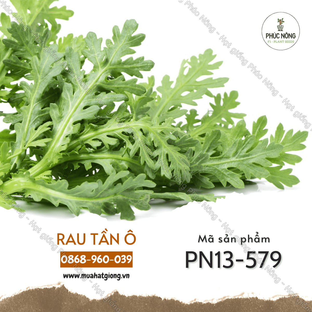 Hạt giống Rau Tần Ô - Gói 20 Gram - Phúc An Nông