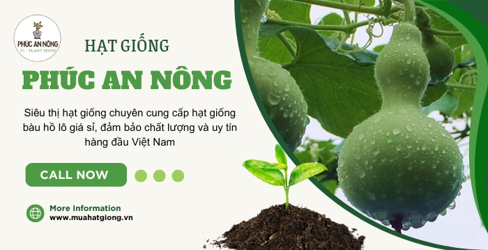 Mua hạt giống cây bầu hồ lô chất lượng, giá tốt tại An Phúc Nông