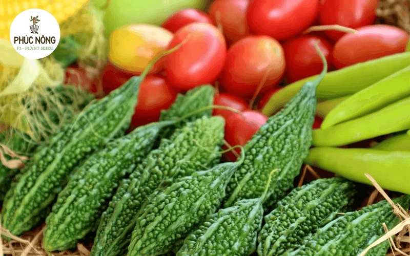 bán sỉ hạt giống tại HN giá tốt tại cửa hàng rau sạch Hoa Xanh