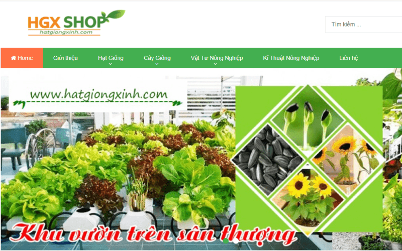 kho sỉ hạt giống Đà Nẵng Hạt Giống Xinh