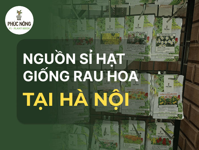 top 15 địa chỉ mua bán hạt giống tại Hà Nội, nguồn sỉ hạt giống rau hoa tại Hà Nội