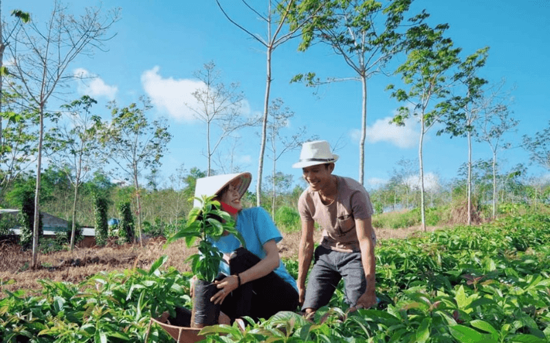 Nông Nghiệp Xanh Thắng Lợi là Địa chỉ mua sỉ hạt giống ở đâu Đà Nẵng có mức giá bình dân và ổn định nhất