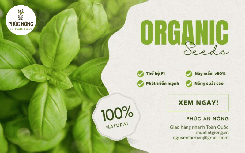 Phúc Nông - kho sỉ hạt giống Hà Nội uy tín