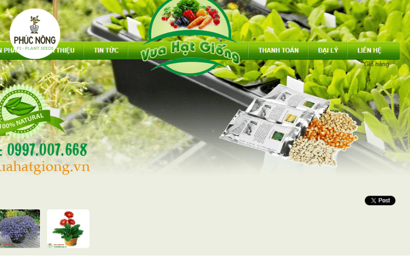 DTSeeds cung cấp hạt giống giá sỉ tại Hà Nội với danh mục hơn 500 loại hạt đa dạng