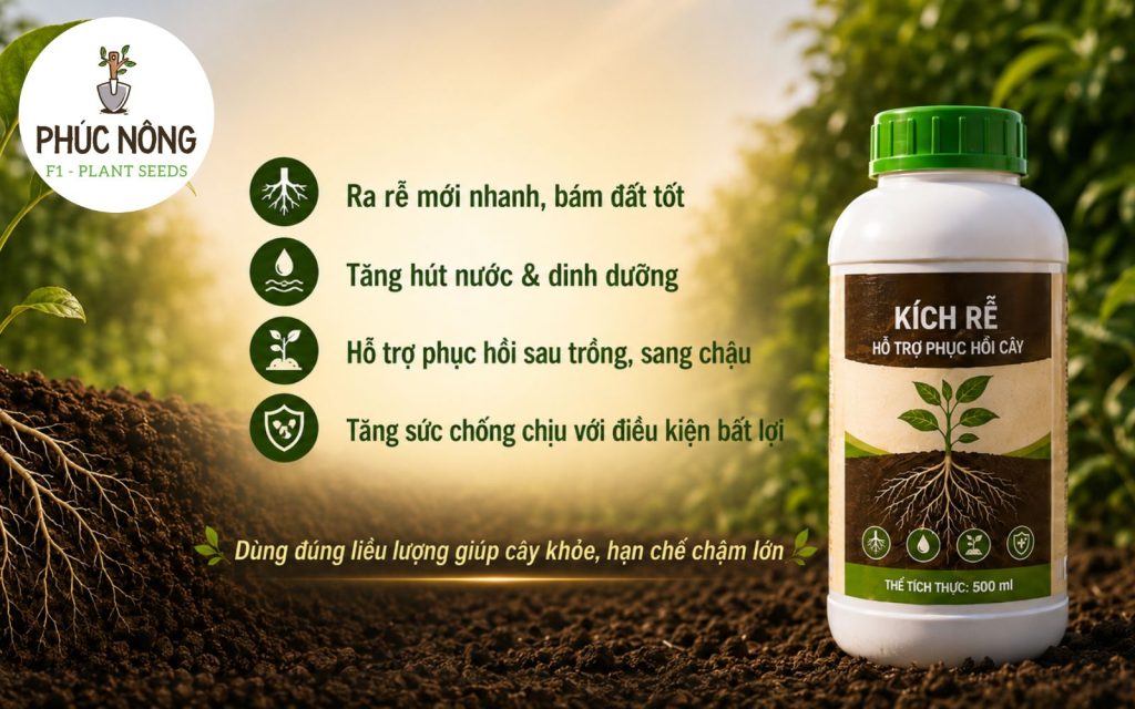 Có nên dùng các sản phẩm kích rễ cho cây không?