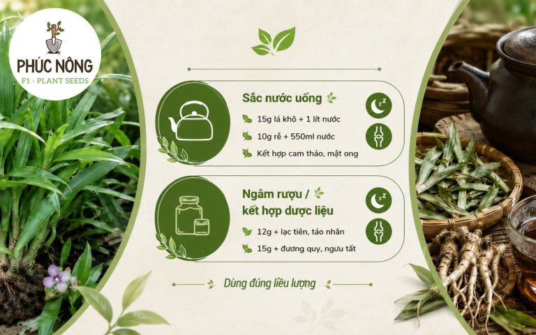 Cách sử dụng cây linh chi thảo hiệu quả