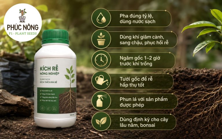 Hướng dẫn sử dụng dung dịch kích rễ cho cây