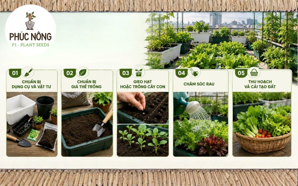 Các bước trồng rau trên sân thượng