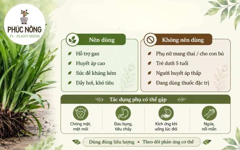 Những lưu ý cần nhớ khi dùng linh chi thảo