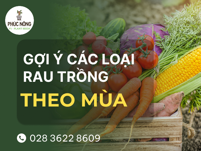 mùa này trồng rau gì? các loại rau trồng theo mùa, theo thời vụ, theo tháng dương lịch