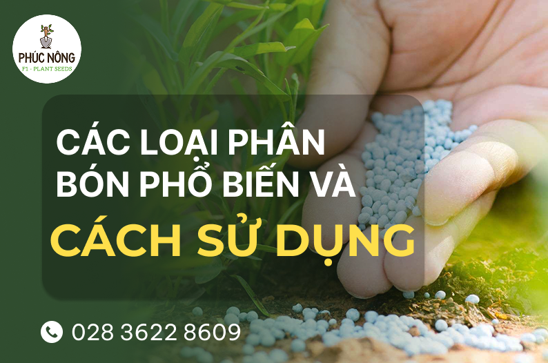 các loại phân bón phổ biến được sử dụng nhiều nhất hiện nay
