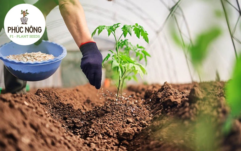 Vai trò của các loại phân bón