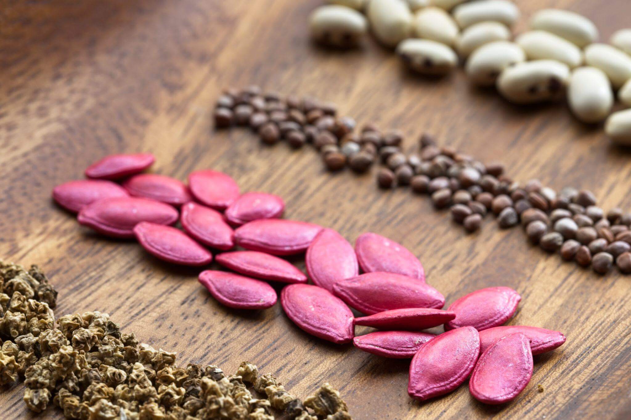 Hạt giống organic chất lượng cao dùng để gia công