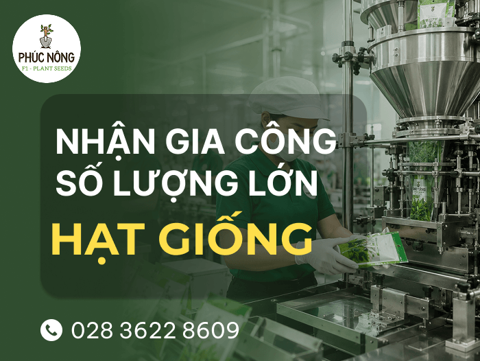 dịch vụ OEM gia công hạt giống số lượng lớn, bao bì nhãn mác đầy đủ