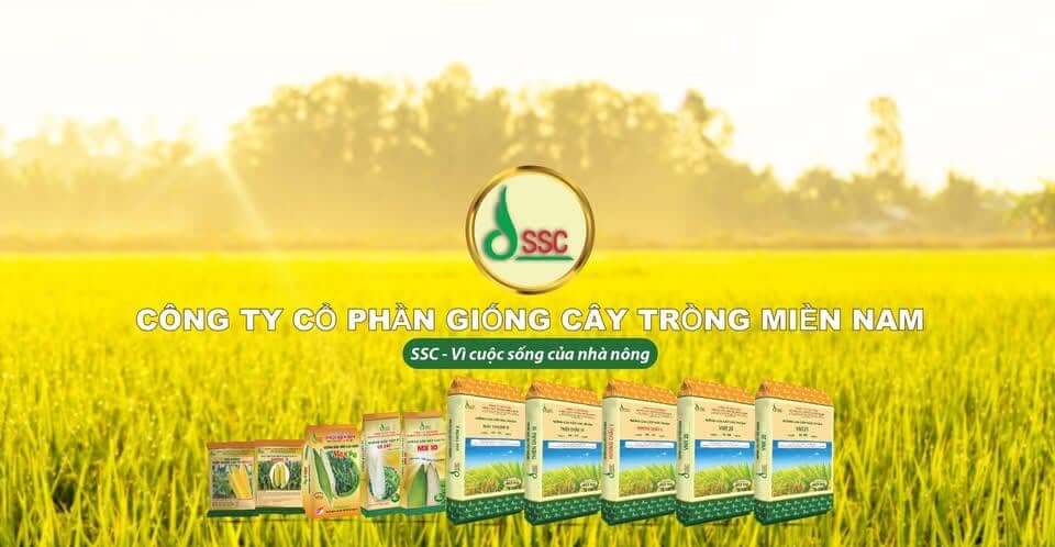 Công ty Giống cây trồng Miền Nam SSC
