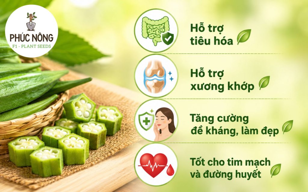 Thành phần dinh dưỡng trong đậu bắp