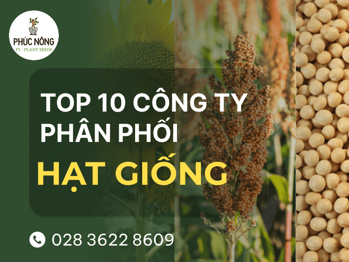 các công ty sản xuất hạt giống uy tín hàng đầu hiện nay