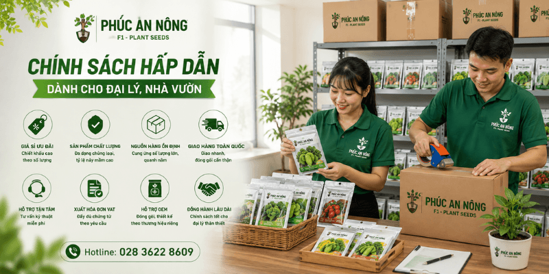 Chính sách nhập sỉ hạt giống dành cho đại lý và nhà vườn
