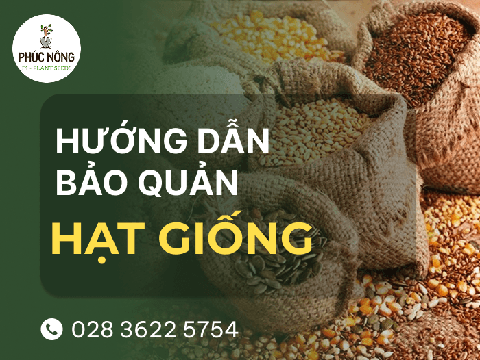 hướng dẫn cách bảo quản hạt giống