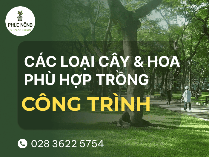 top 15 loài hoa & cây trồng công trình ít công chăm sóc